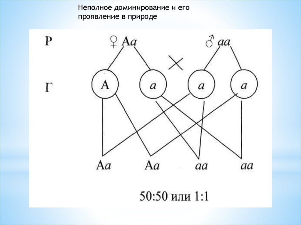 Схема неполного доминирования