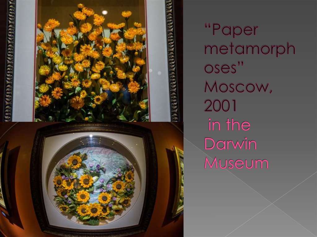 “Paper metamorphoses” Moscow, 2001 in the Darwin Museum