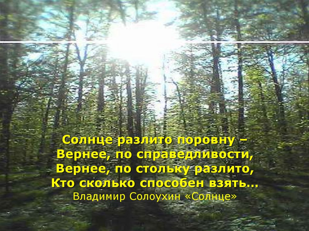 Солнце разлито поровну – Вернее, по справедливости, Вернее, по стольку разлито, Кто сколько способен взять… Владимир Солоухин