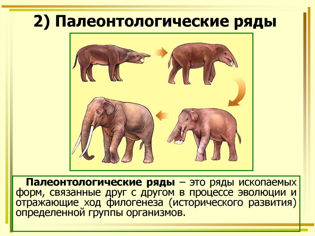 Палеонтологические и эмбриологические доказательства