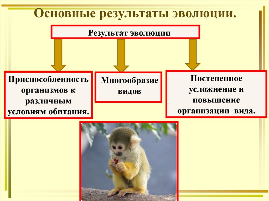 Результаты эволюции