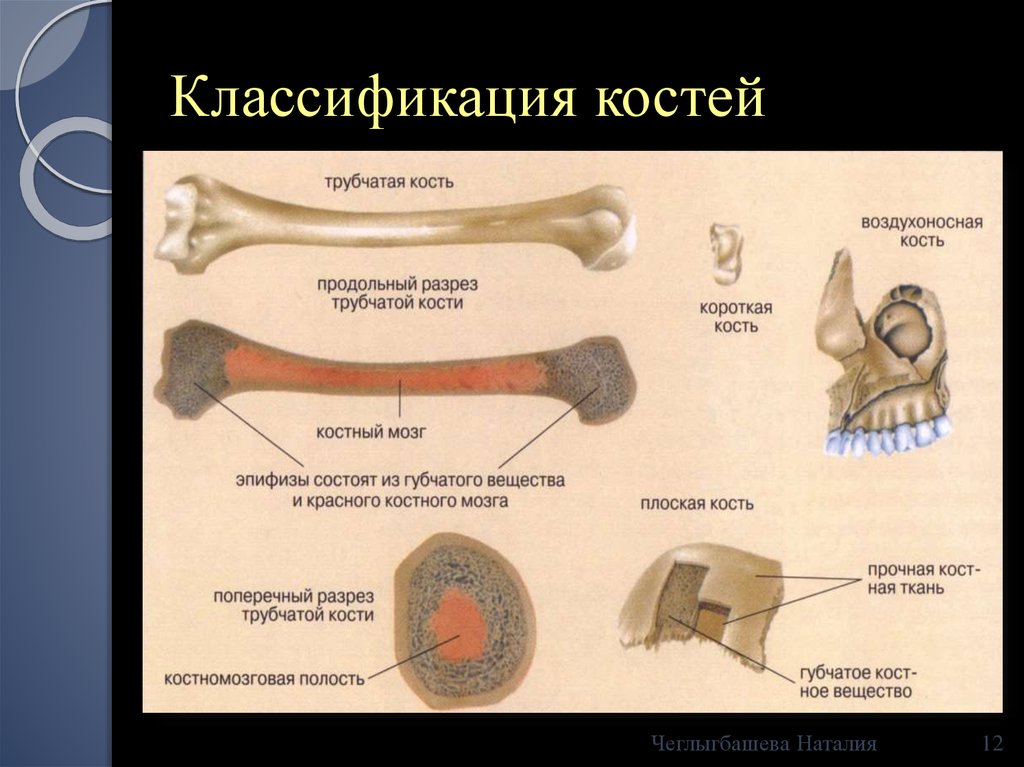 Ковид кости