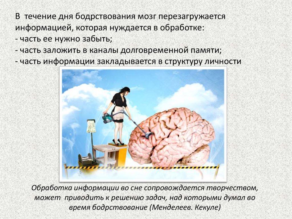 В течение дня бодрствования мозг перезагружается информацией, которая нуждается в обработке: - часть ее нужно забыть; - часть