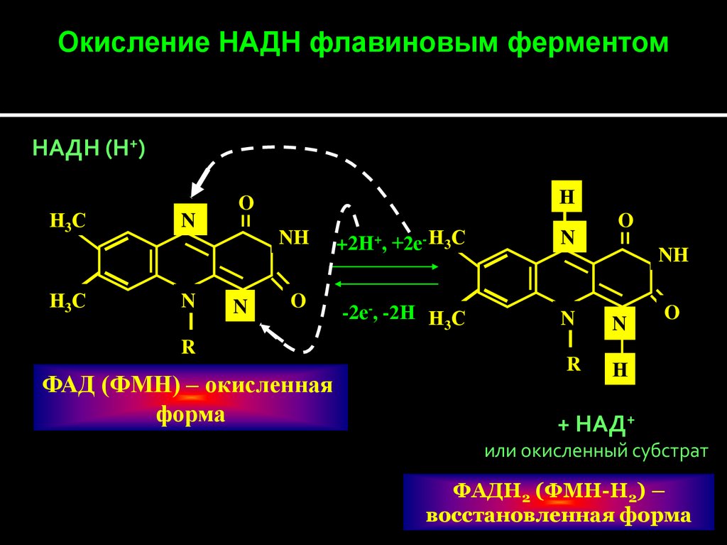 Окисление надф. Окисление надн2. ФАД окисленная и восстановленная форма. Над+ НАДН. Реакцию окисления НАДН В ЦПЭ.