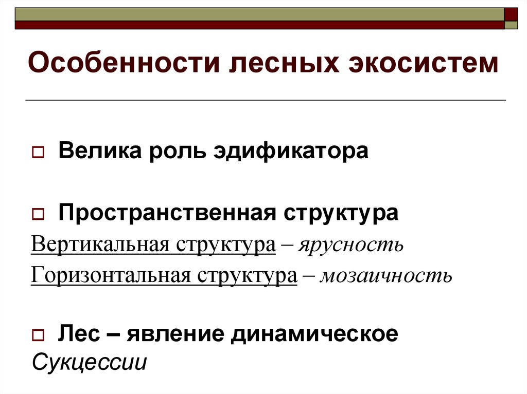 Особенности леса. Особенности лесных экосистем. Особенности экосистемы леса. Особенности экологической системы леса.