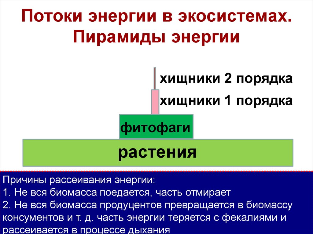 Гомеостаз экосистемы презентация