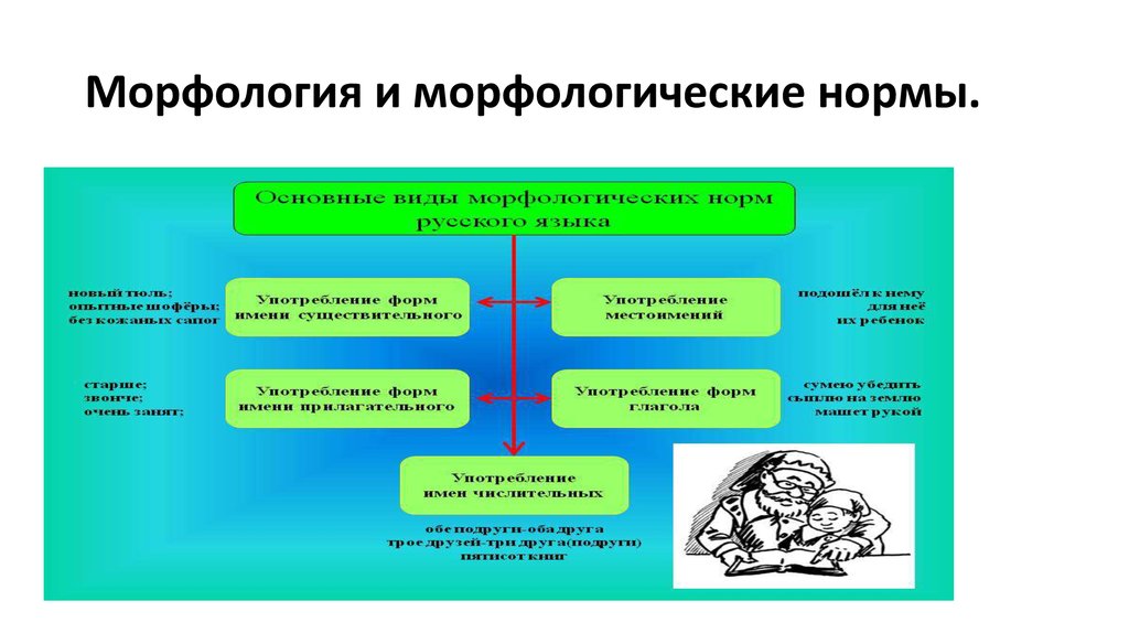 Морфологические нормы презентация