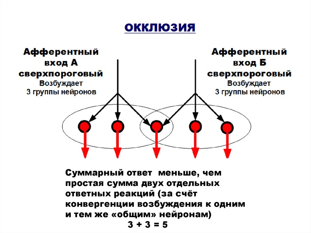 Нервная система организатора картинка