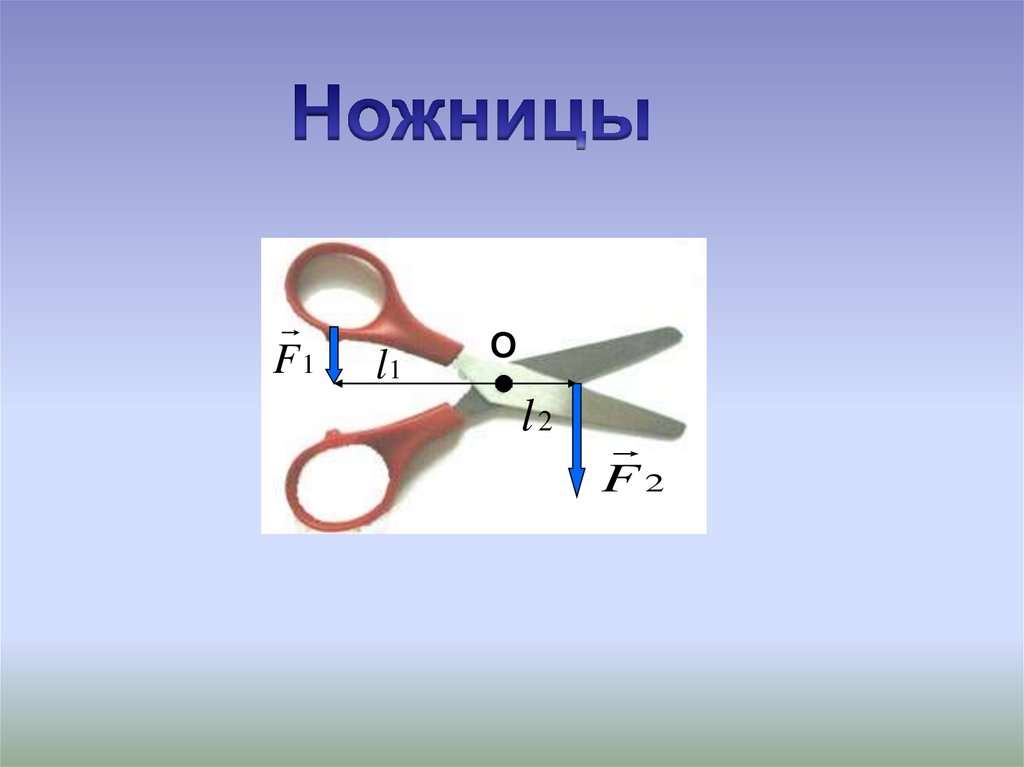 Презентация на тему рычаги в природе и в быту