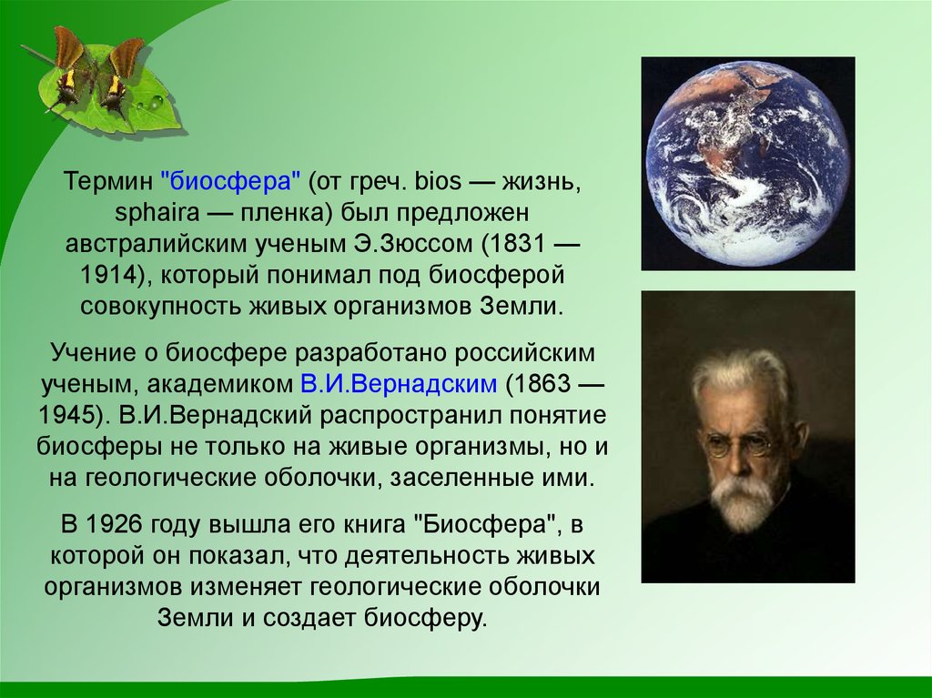 Информация о биосфере. Биосфера и человек 6 класс география. Роль биосферы в природе. Биосфера доклад. Презентация на тему Биосфера.