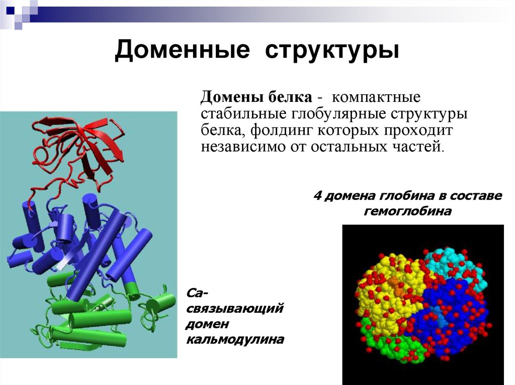 Домен характеристики. Доменная структура белков биохимия. Доменная структура белка. Доменное строение белковых молекул. Домены в структуре белка.