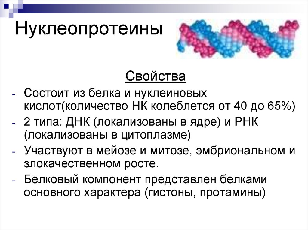 Характеристика белков. Нуклеопротеины общая характеристика. Нуклеопротеиды химическое строение. Нуклеопротеины строение. Нуклеопротеиды биохимия строение.