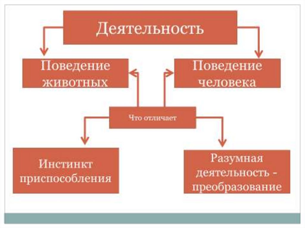 Чем отличается деятельности человека