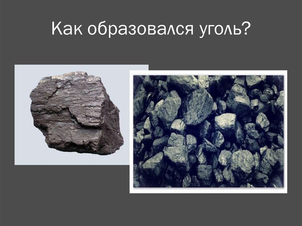 Появление каменного угля. Каменный уголь образовался из. Как образуется уголь. Как появился уголь. Происхождение угля в природе.
