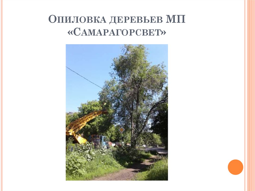 Опиловка деревьев МП «Самарагорсвет»