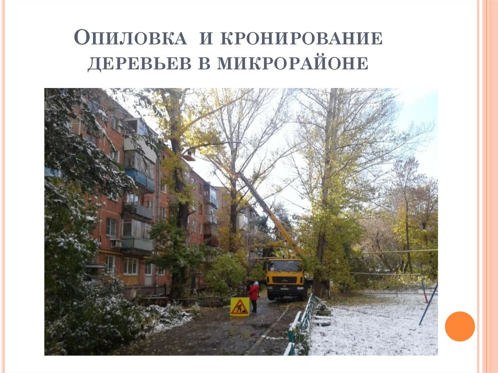 Опиловка и кронирование деревьев в микрорайоне