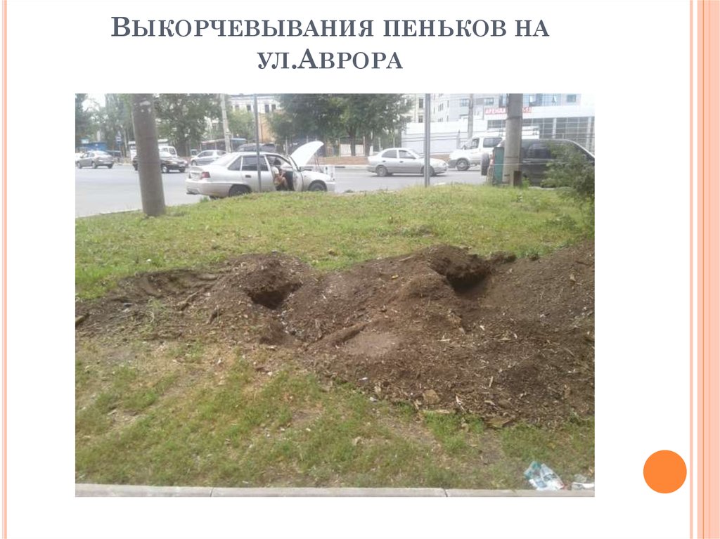 Выкорчевывания пеньков на ул.Аврора