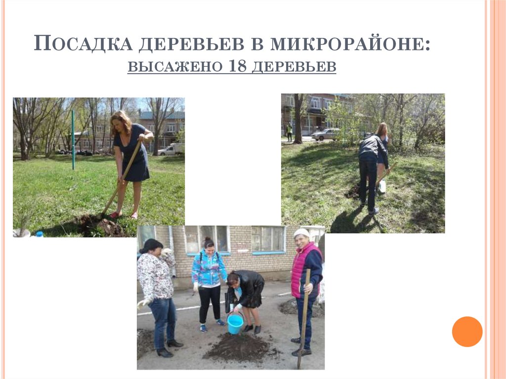 Посадка деревьев в микрорайоне: высажено 18 деревьев