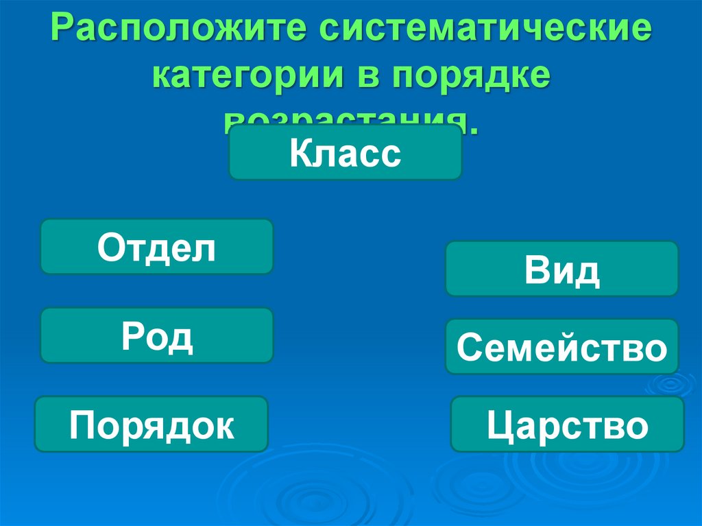 Последовательность род. Систематические категории в порядке возрастания. Расположите систематические категории в порядке возрастания. Порядок систематических категорий. Систематика в порядке возрастания.