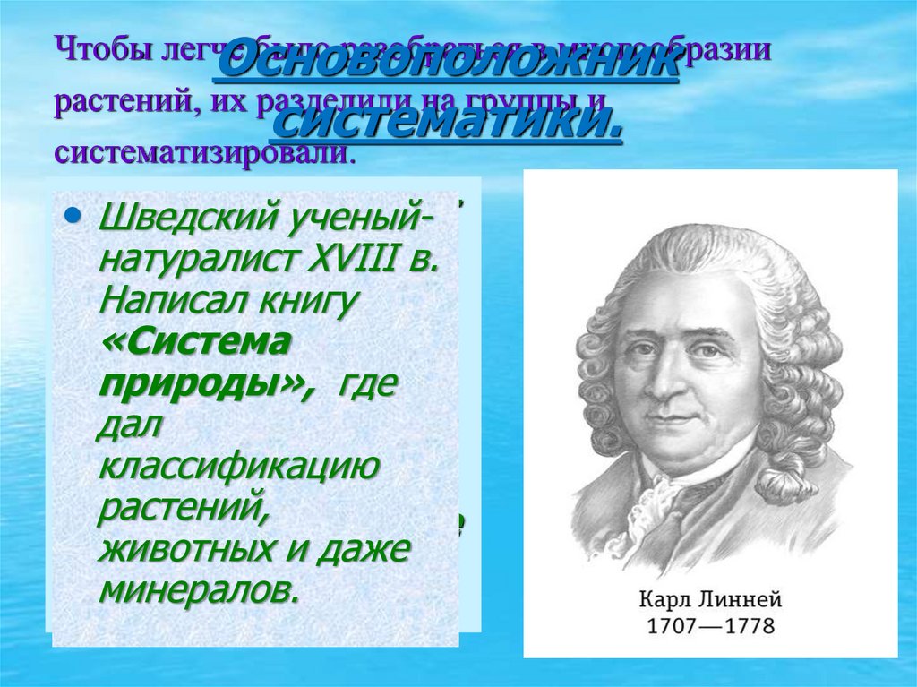 Основы систематики растений презентация