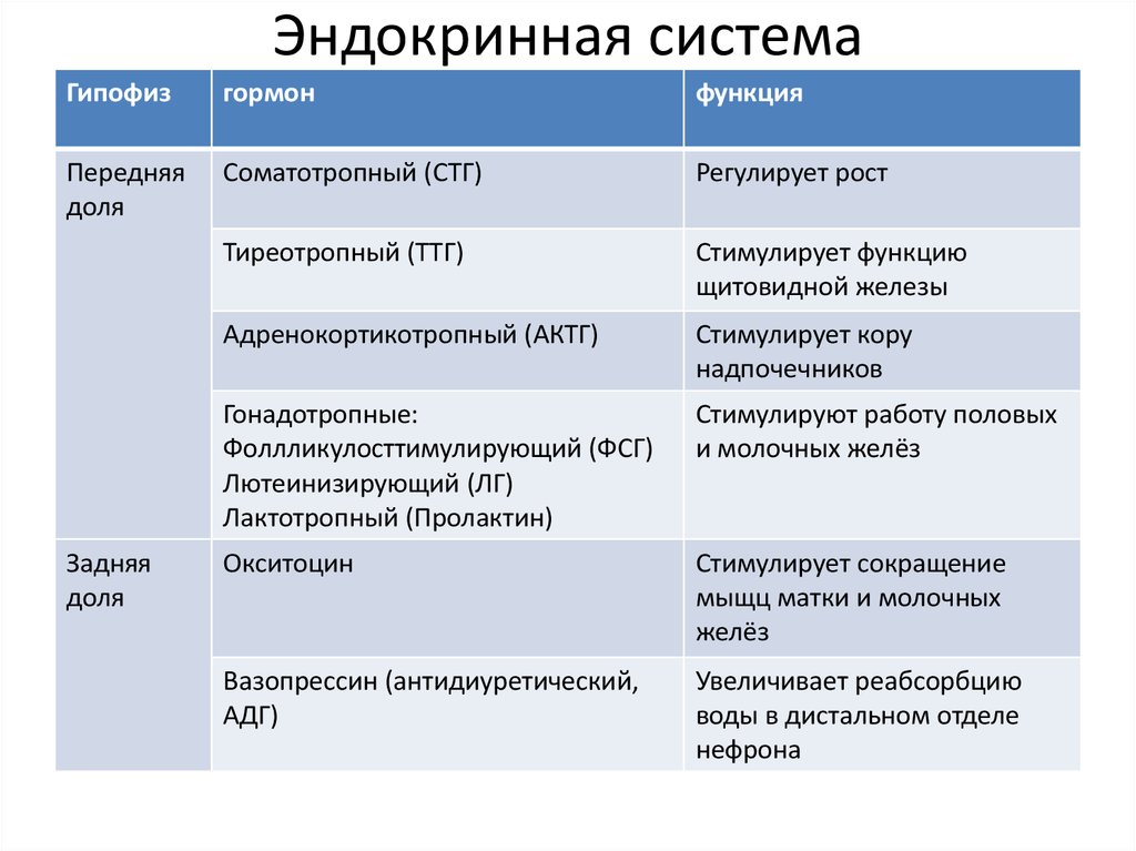 Сестринский уход при заболеваниях щитовидной железы