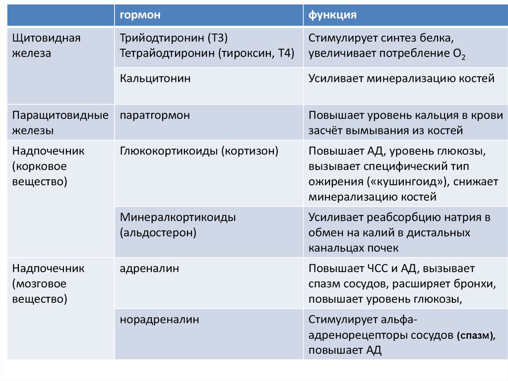 Сестринский уход при заболеваниях щитовидной железы