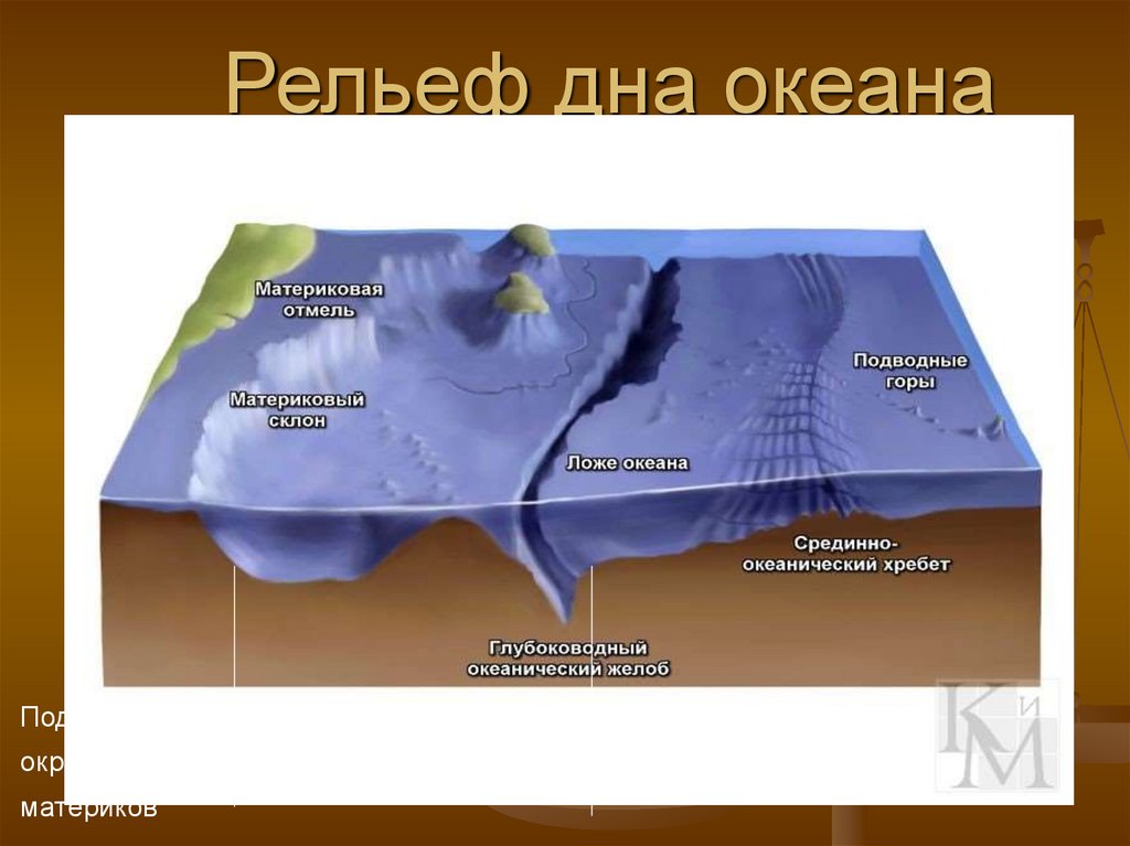 Части дна океана. Рельеф дна мирового океана. Формы рельефа океанического дна. Строение рельефа дна мирового океана. Схема рельефа океанического дна.