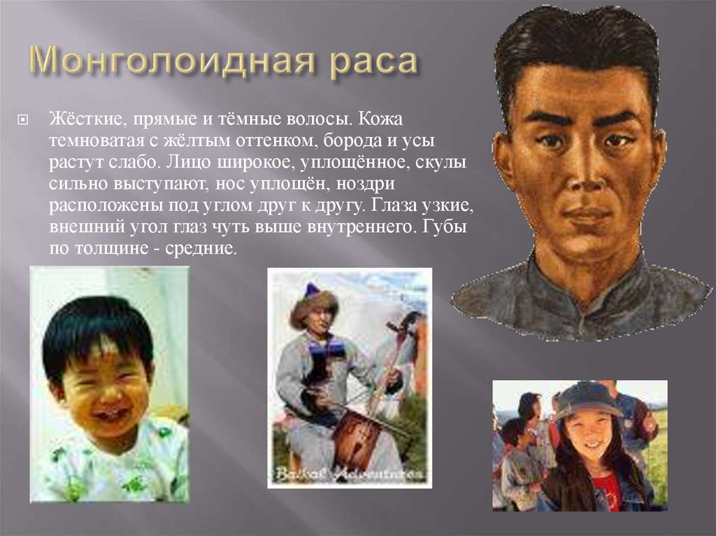 Представители монголоидной расы проживают в основном. Монголоидная раса. Монголоидная раса раса. Телосложение монголоидной расы. Монголоидная раса внешность.