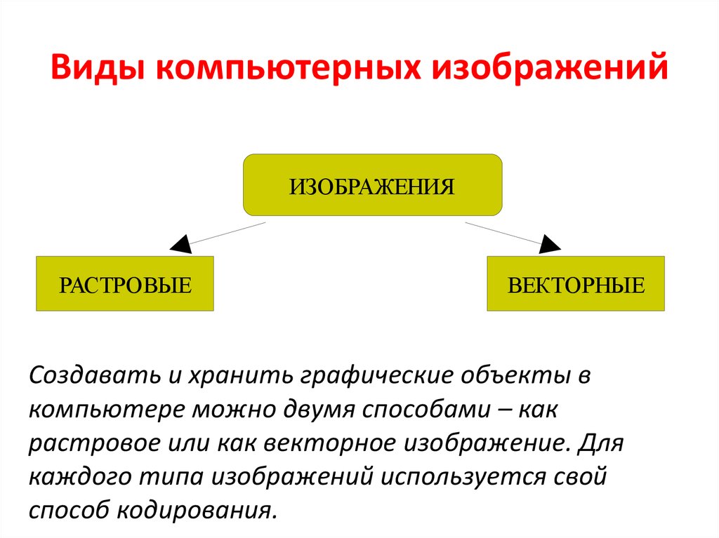 10 какие виды изображений из перечисленных лучше кодировать в векторном формате