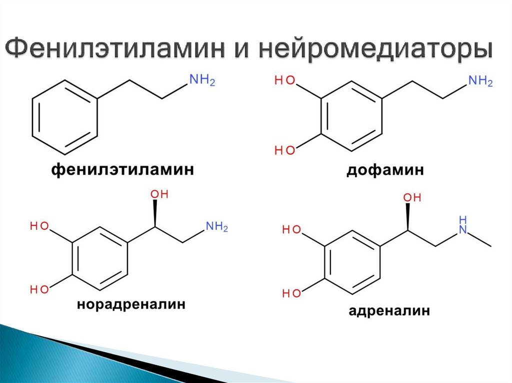 Фенилэтиламин это