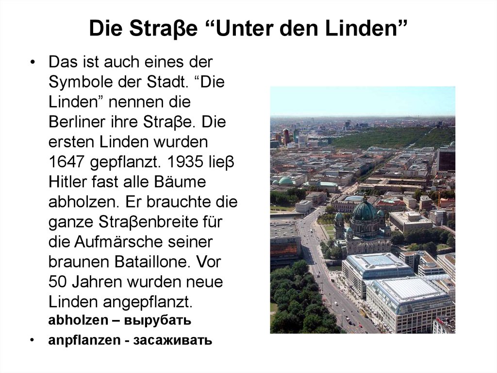 Die Straβe “Unter den Linden”
