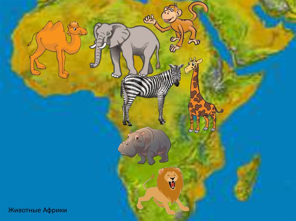 По странам и континентам 5 класс. Животные Африки для детей. Африка для детей дошкольного возраста. Звери Африки для детей. Путешествие по Африке для дошкольников.