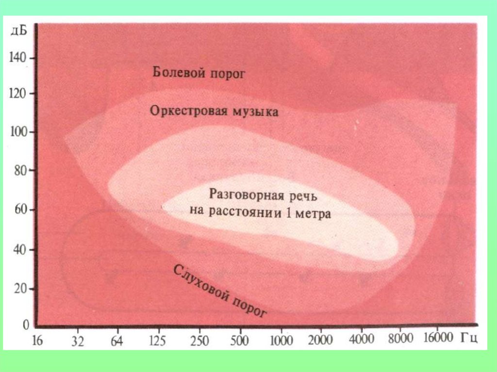 Болевой порог разница