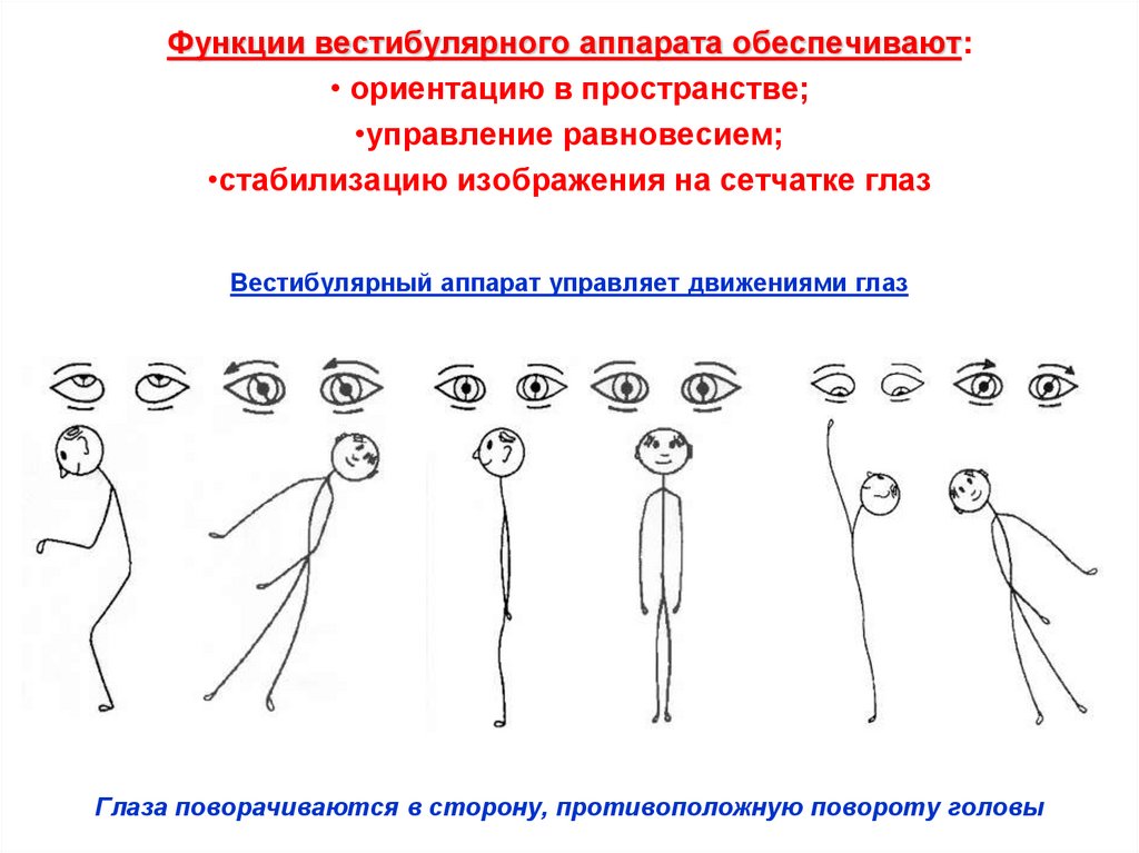 Методы исследования вестибулярного аппарата презентация