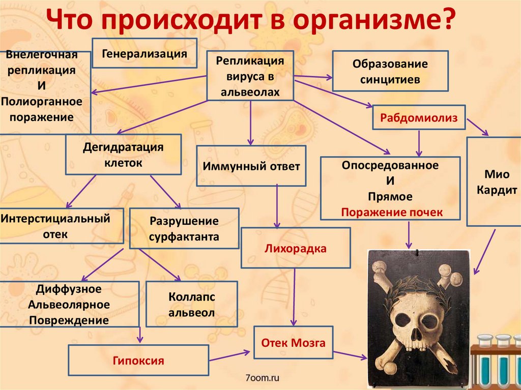 Что происходит в организме?
