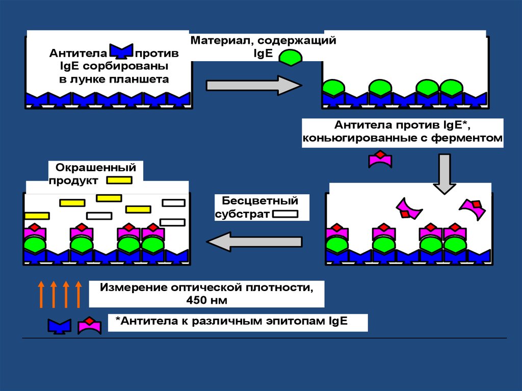 Аллергодиагностика in vitro. Методы аллергодиагностики in vivo и in vitro таблица. Методы аллергодиагностики in vivo и in vitro. Молекулярная аллергодиагностика презентация.