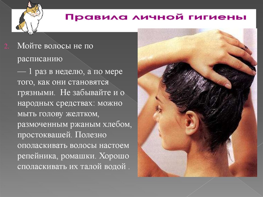 Голову надо мыть раз в неделю. Гигиена волос. Гигиена кожи головы. Графика мытье волос. Интересные факты о волосах.