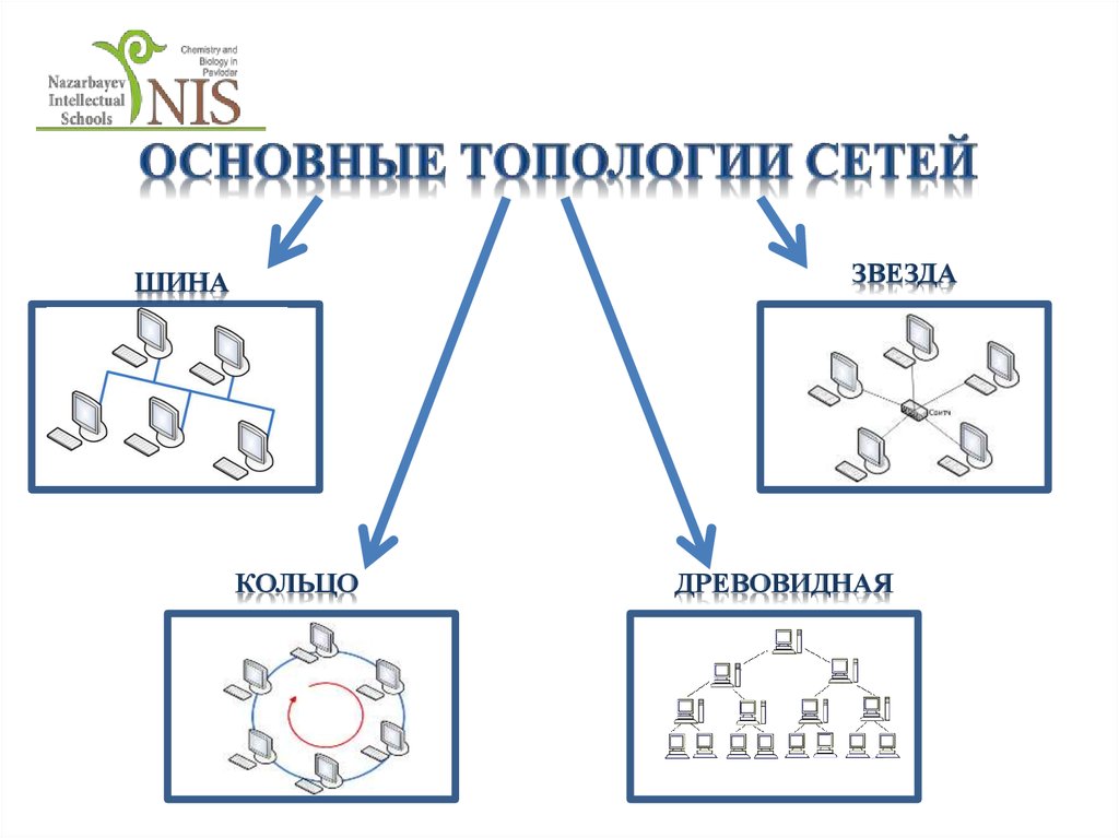 Опишите 3 наиболее популярные топологии их достоинства и недостатки заполните схему