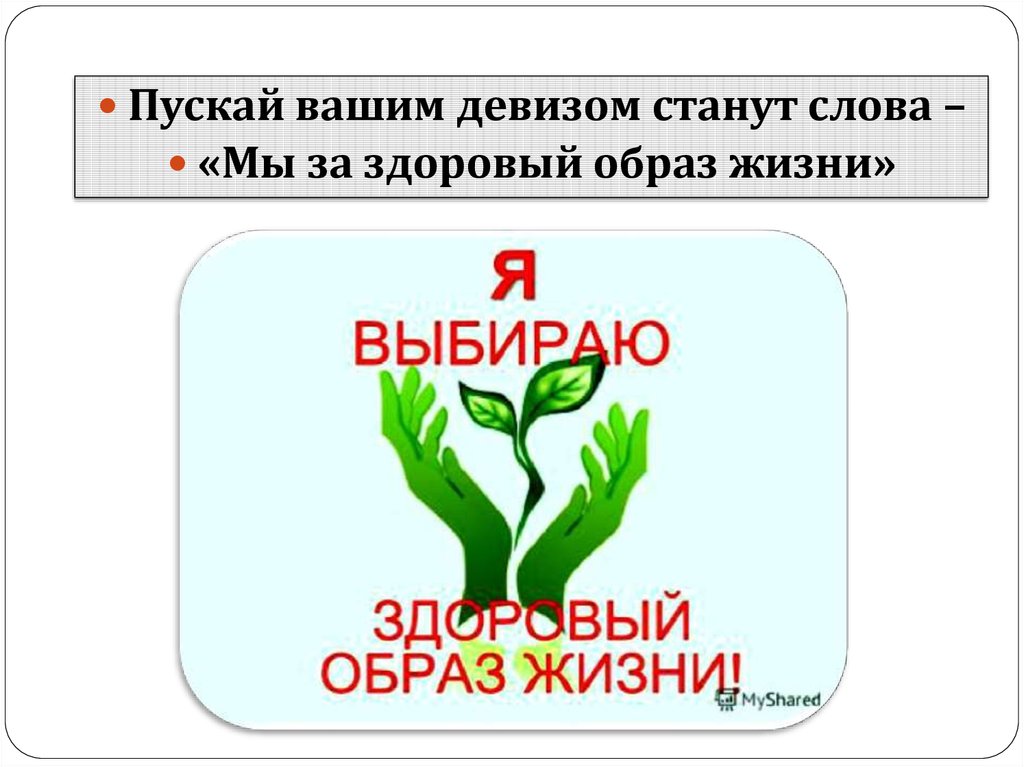 Пусти слова текст. Ваш девиз. Последнее слово за нами девиз. Девиз ваша Воля моими руками. Твой девиз.