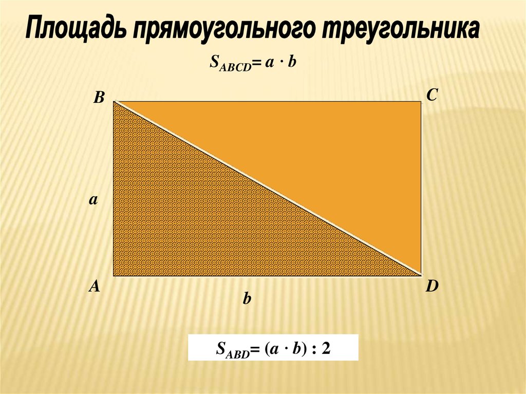 Презентация о прямоугольнике