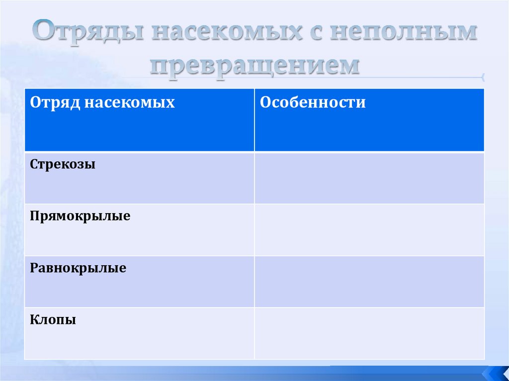 Отряды насекомых с полным и неполным превращением