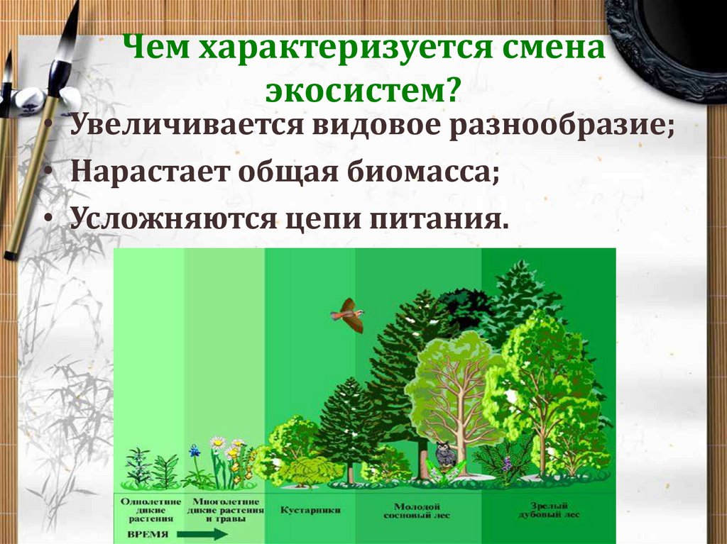Устойчивость природной экосистемы