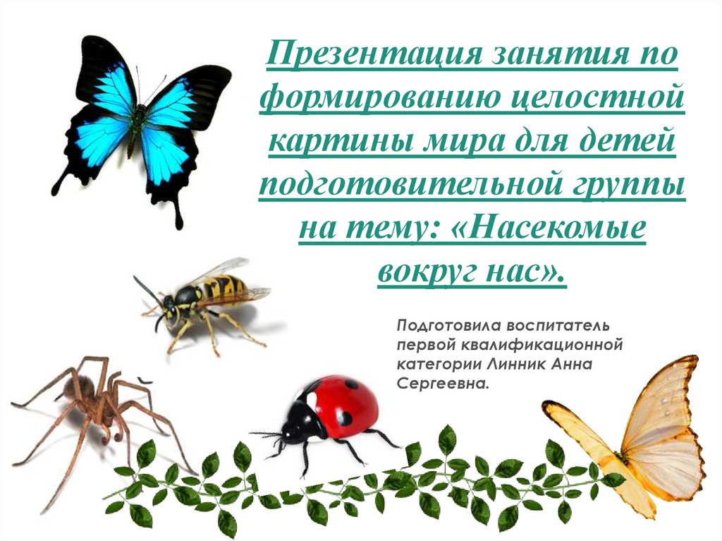 Проект в подготовительной группе на тему насекомые