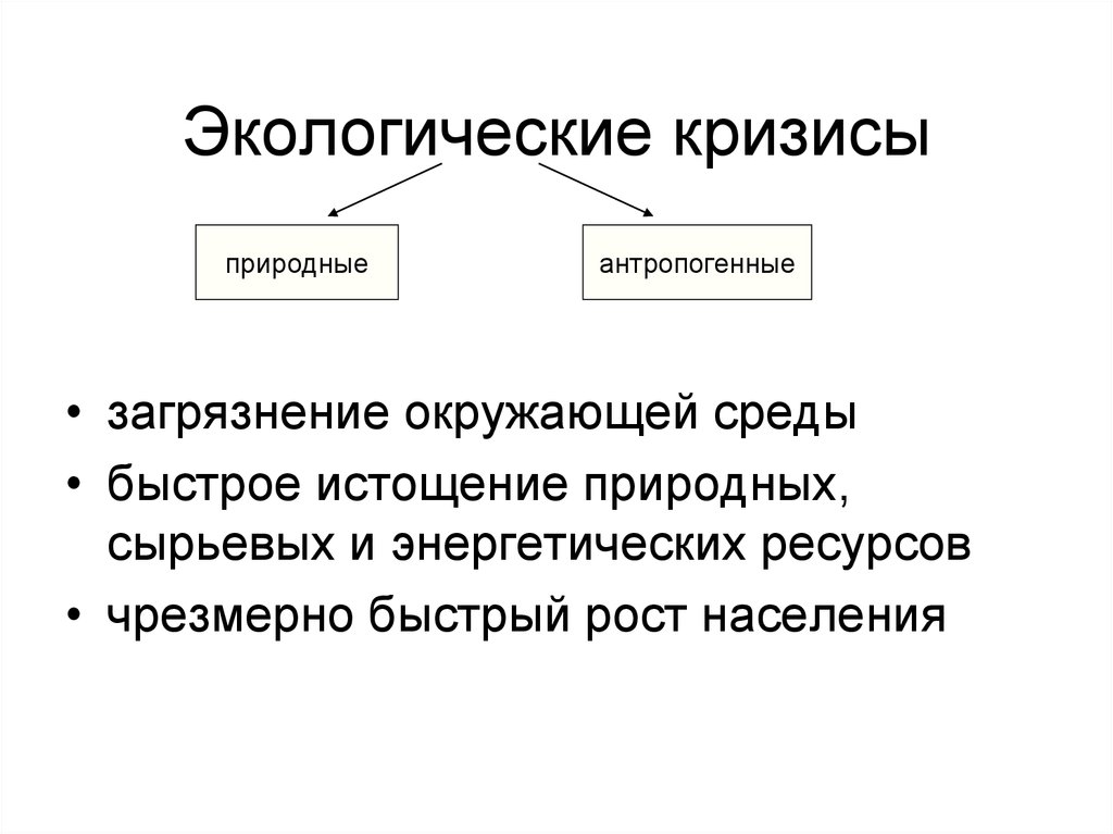 Энергетический и экологический кризисы. Социальные аспекты экологического кризиса.