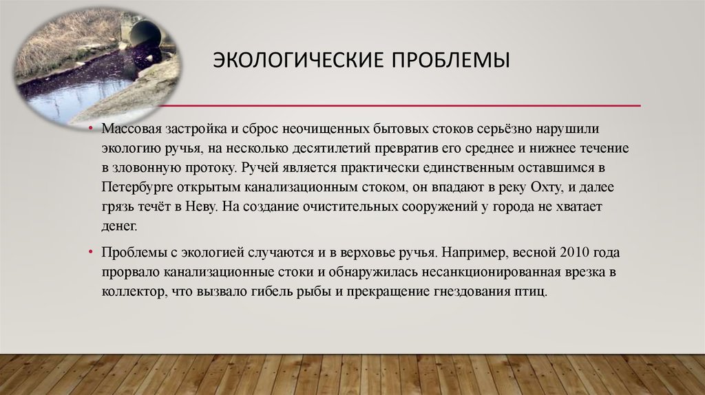 Экологические проблемы