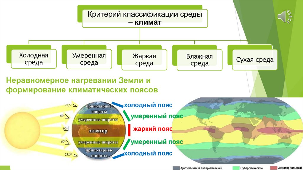 Виды географической среды