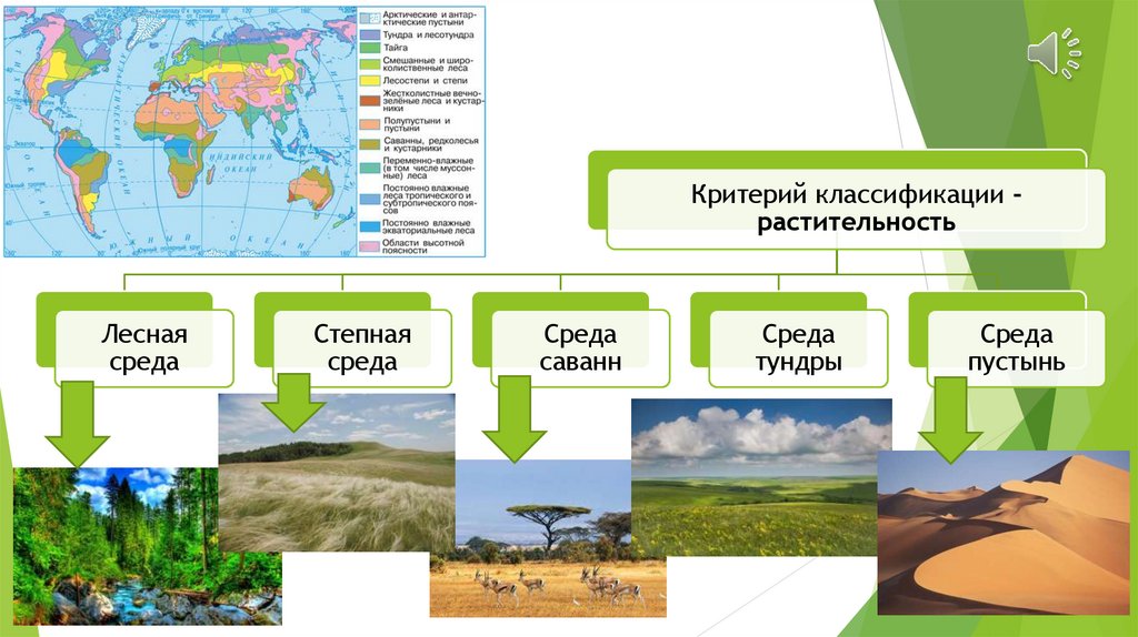 Различия природы и географической среды