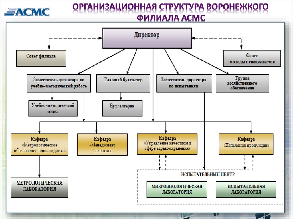 Организационная структура. Организационная структура филиала. Организационная структура предприятия с филиалами. Организационная структура с филиалами пример. Пример организационной структуры предприятия с филиалами.