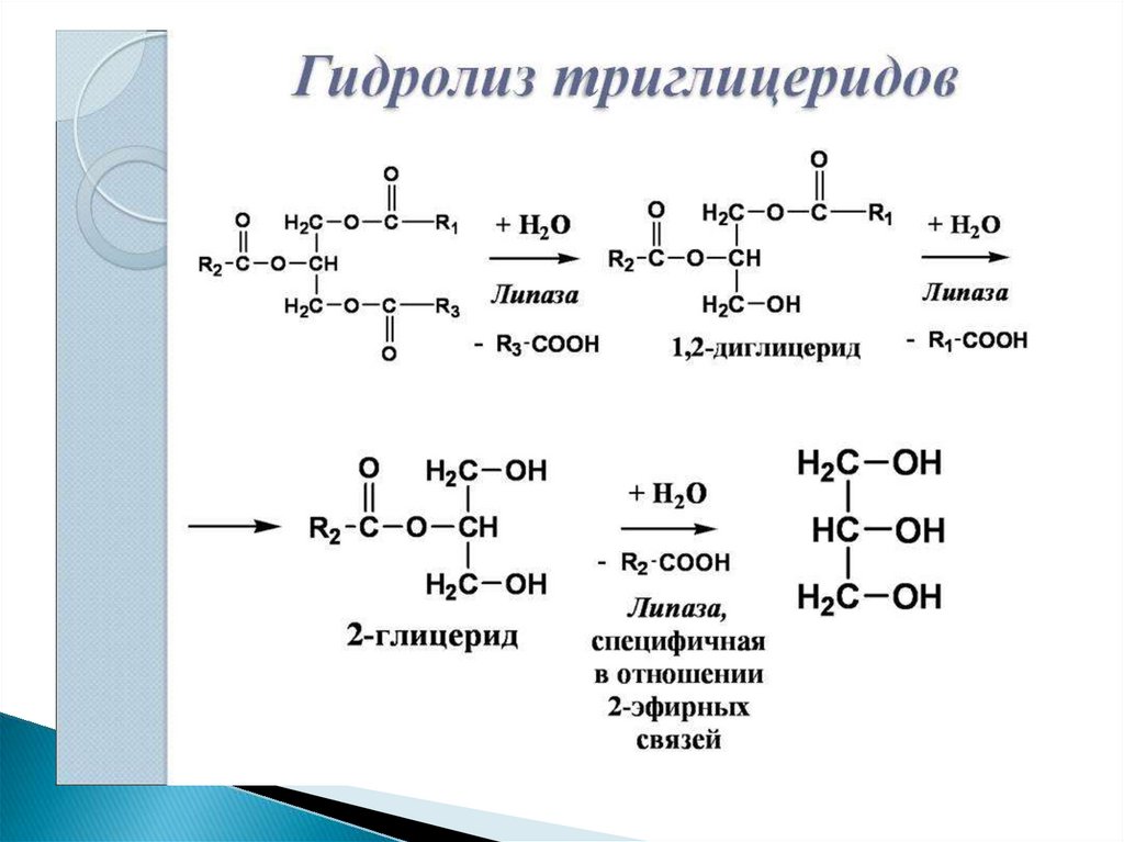 Схема кислотного гидролиза