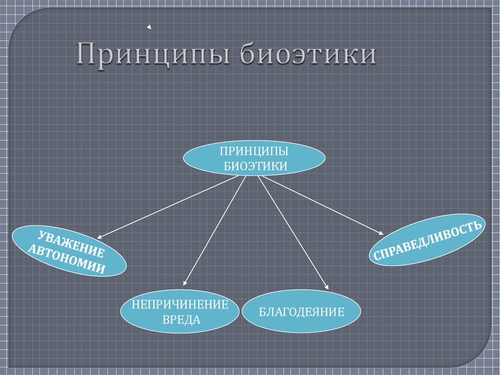 Основные проблемы биоэтики презентация